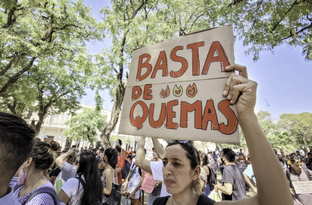 Corrientes: crónica de un ecocidio