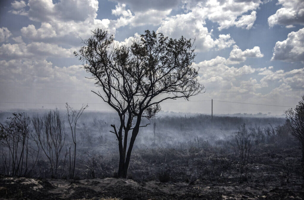 Corrientes, la guerra contra la naturaleza