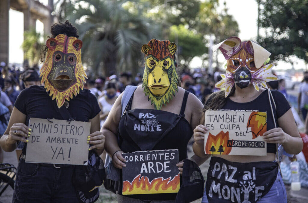 «Nunca más gobiernos ecocidas»: puentazo en Corrientes para exigir ley de humedales ya