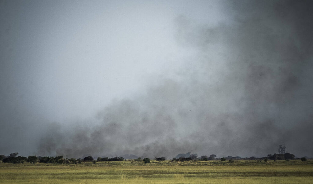 El patrón del fuego: humo, agronegocios, y el Delta en llamas